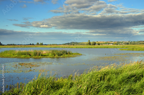 summer lake landscape