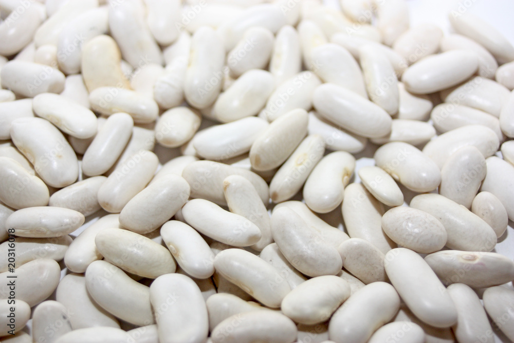 haricots blanc haricots blanc