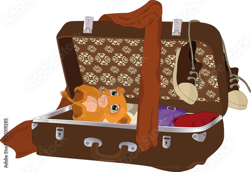 suitcase with things