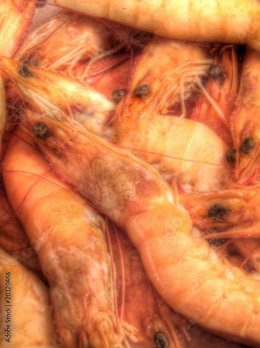 Fototapeta Naklejka Na Ścianę i Meble -  Shrimp