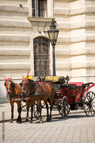 Horsedrawn carriage on the platz by the Hofburg Palace, Vienna photo