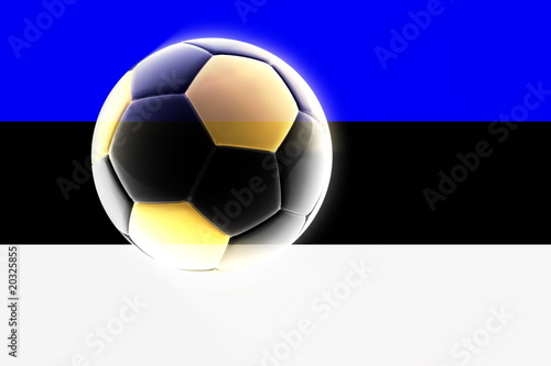 Flag of Estonia soccer