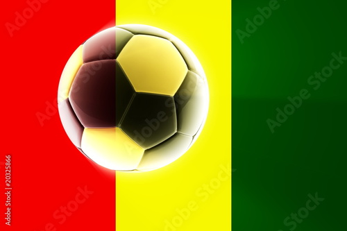 Flag of Guinea soccer