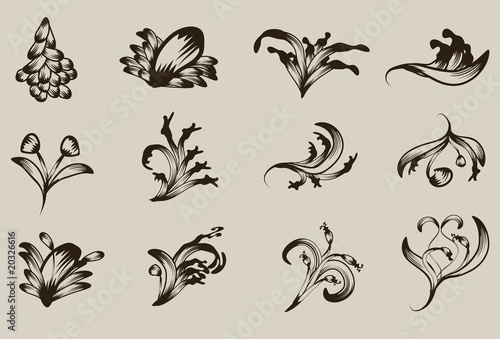 Hand drawn detailed floral ornament collection