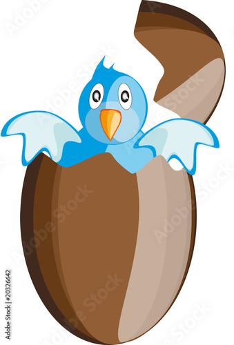uovo pasqua pulcino