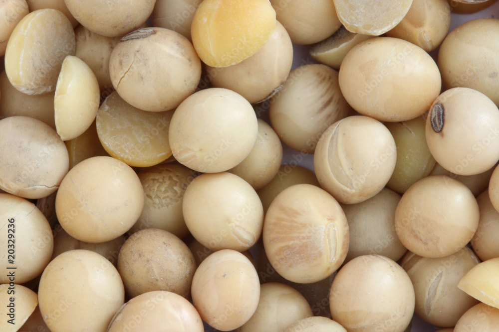 Soya beans Soya beans
