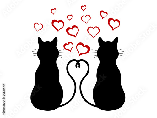 Cats in love