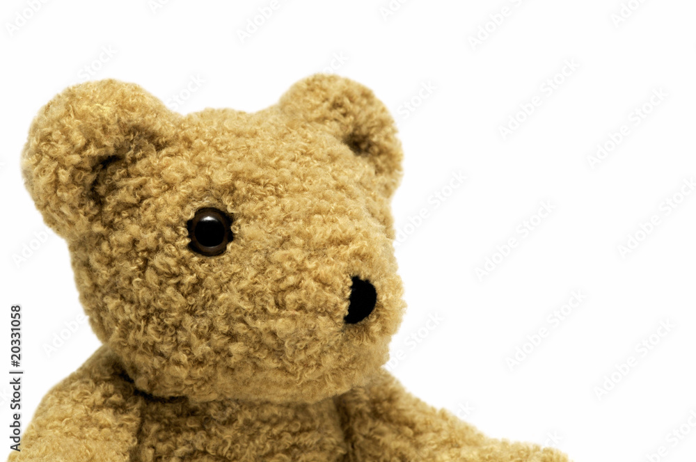 Obraz premium Teddybär