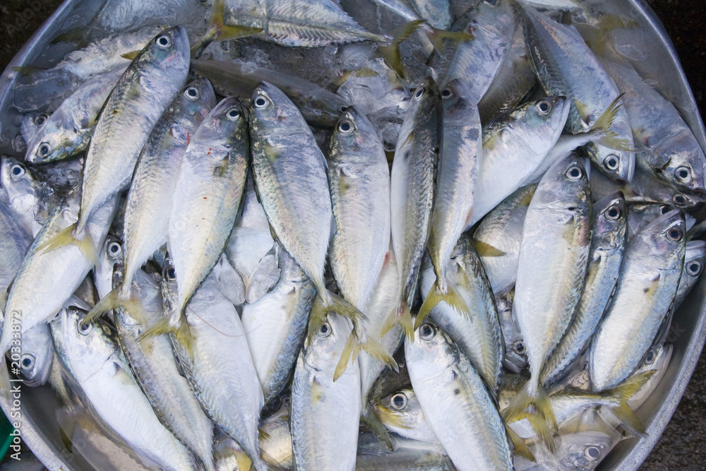 Obraz premium Fish stock
