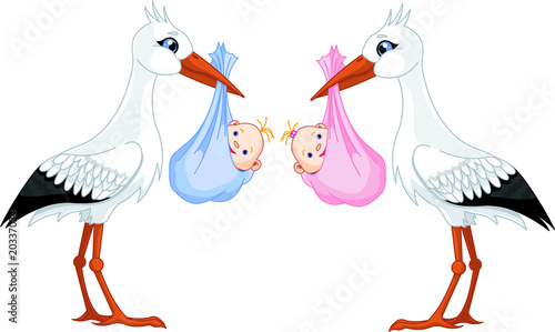 two storks delivering a newborn babies