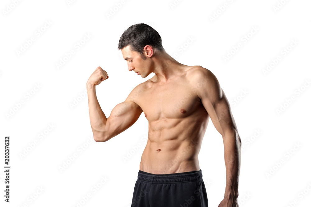 Muscle Muscle