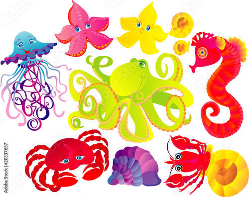 Many different sea animals, vector illustration