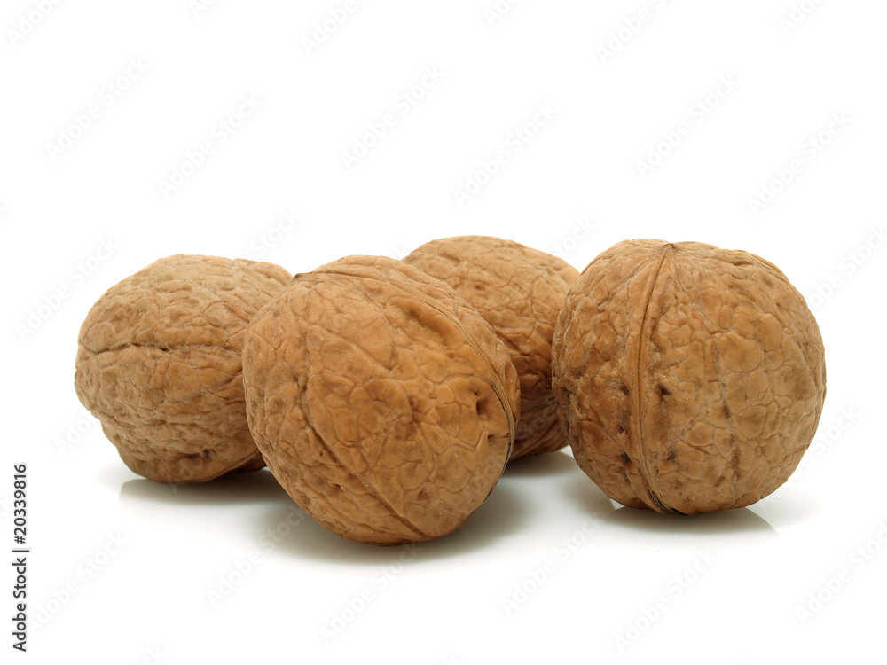 Walnuts on the white background Walnuts on the white background