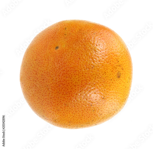 A single large grapefruit