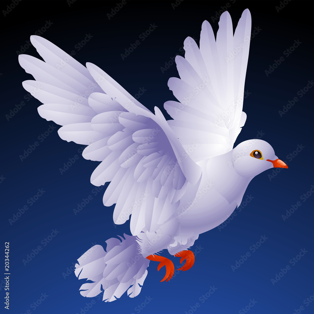 Obraz premium Vector white dove