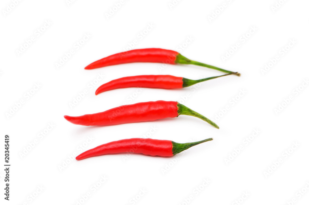Red chili peppers isolated on the white Red chili peppers isolated on the white