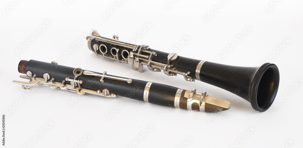 Obraz premium Clarinet