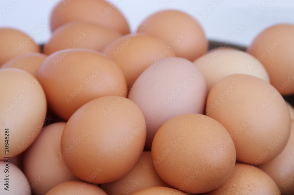 chicken eggs chicken eggs