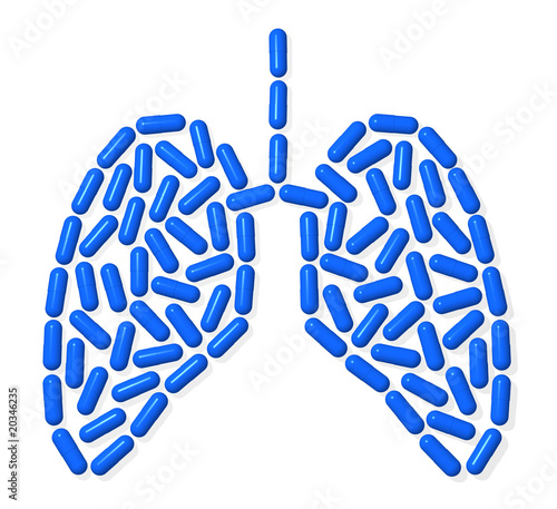 Lungs