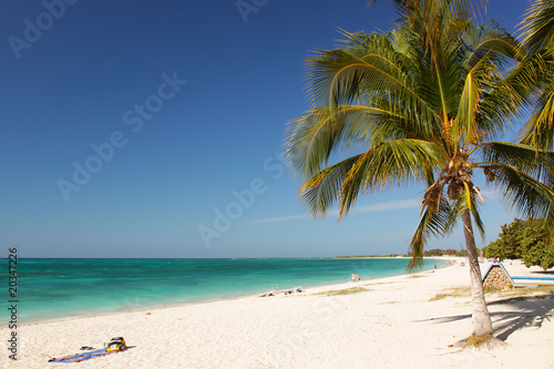 Caribbean Island Paradise © Aleksandar Todorovic