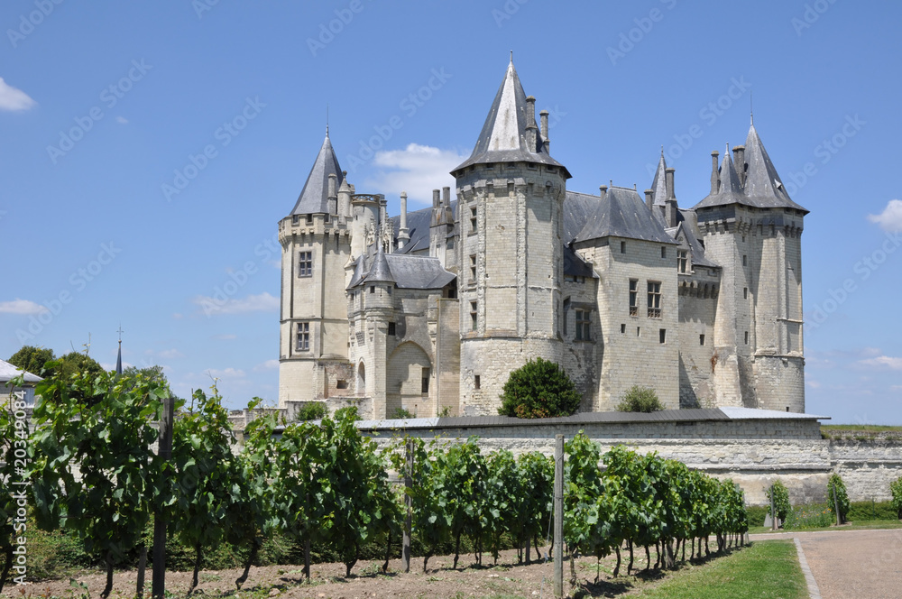 Château de Saumur, France