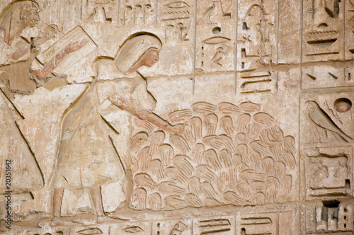 Obraz na plátně Ancient Egyptian war dead