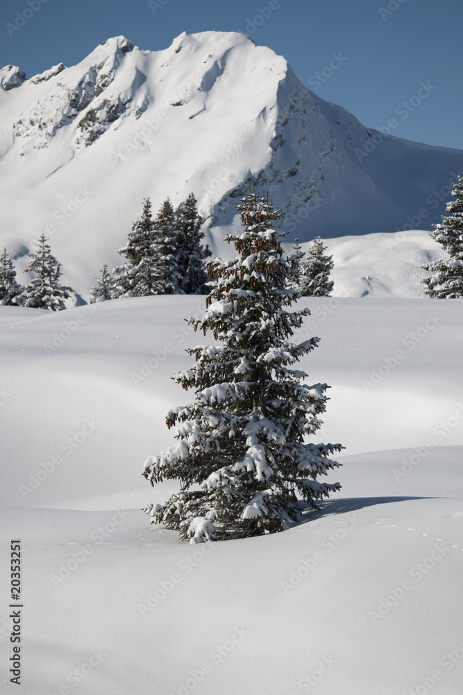 Montagne, Beaufortain sous la neige, Savoie, Areches, Alpes