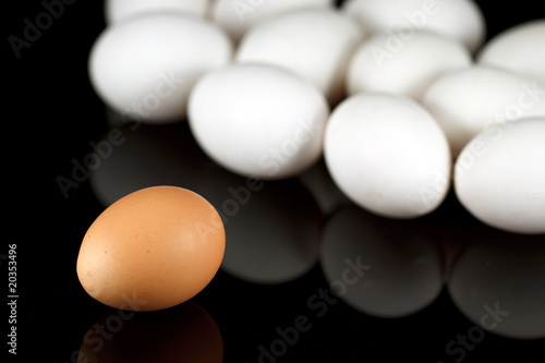 One brown egg and some white chicken eggs on reflecting black ba