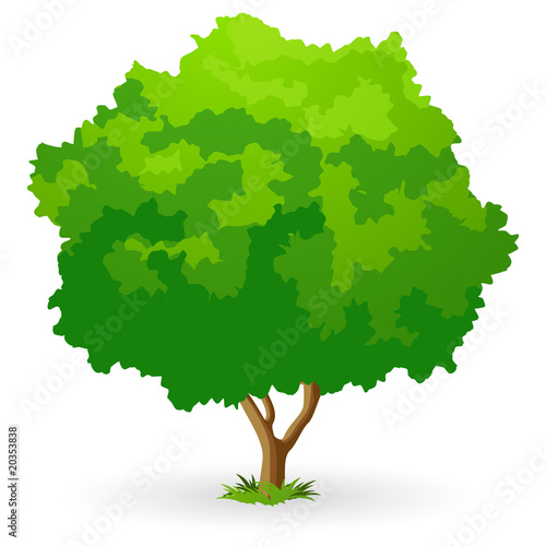 Green Tree