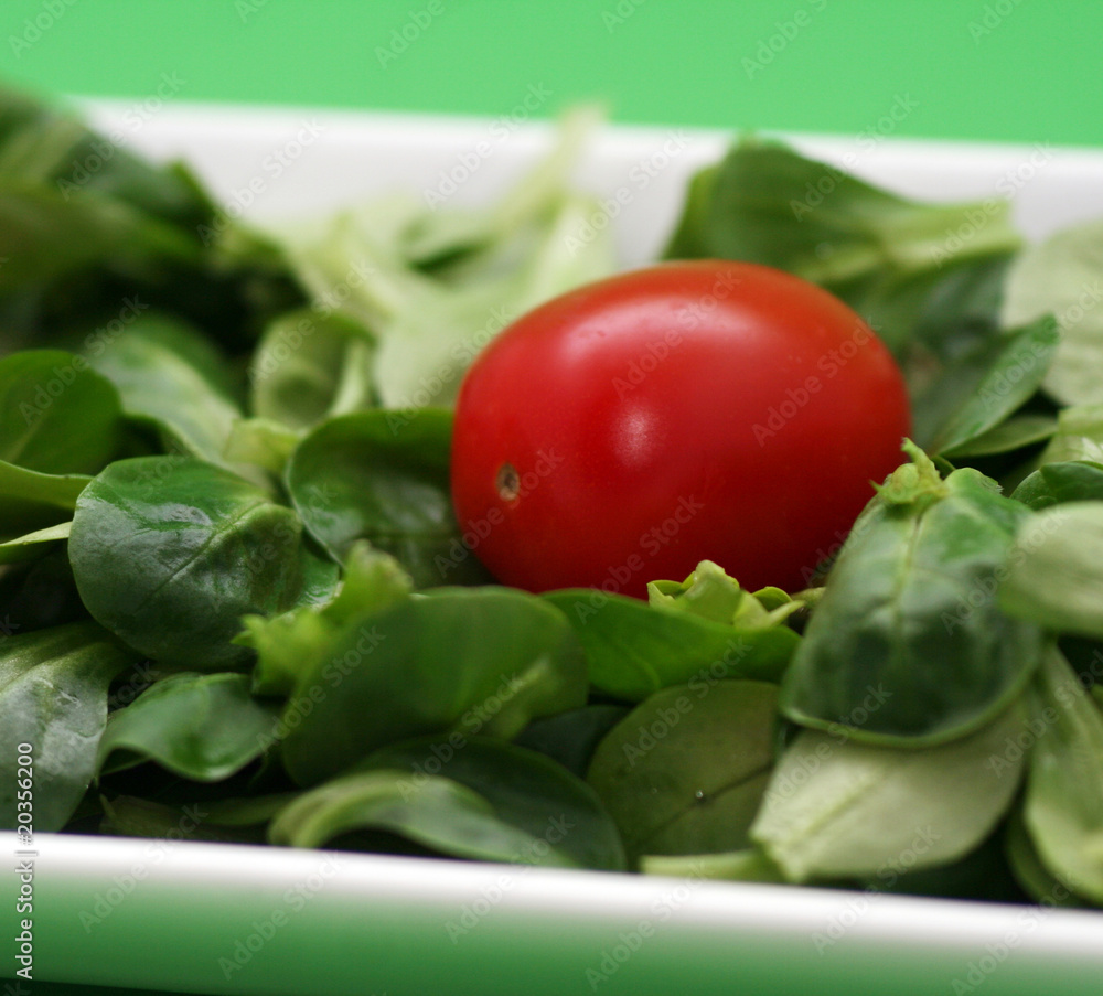 Feldsalat Feldsalat
