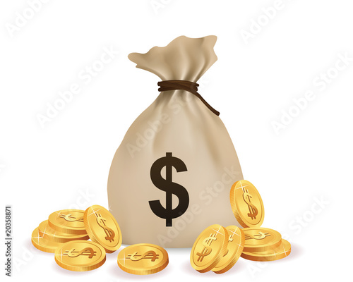money bag with coin