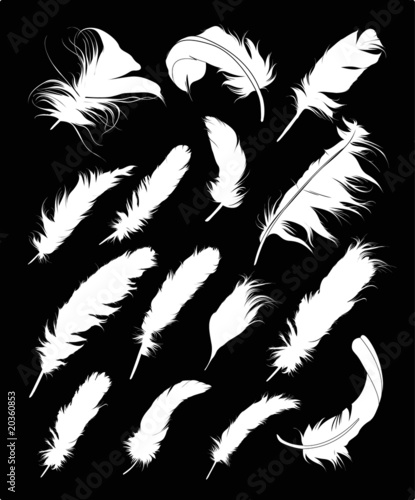 Feather Set