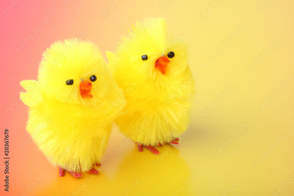 Easter chickens on color background