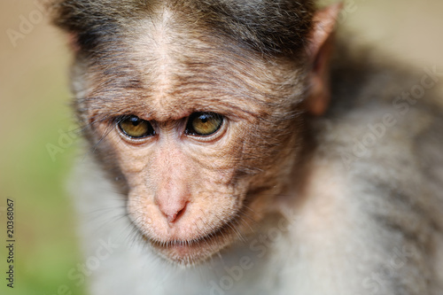 Canvas Print Funny type