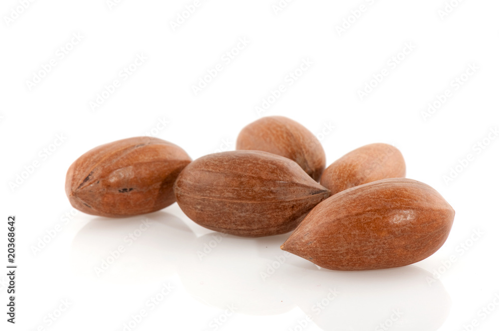 Obraz premium Pecan nuts