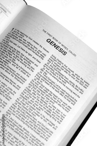 Konstfotografi Genesis