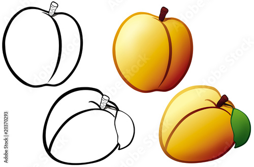 apricot
