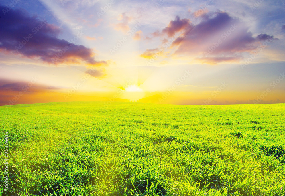 green field green field