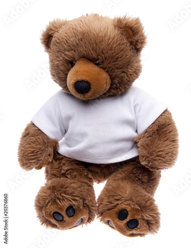 Teddy Bear in a Tee Shirt