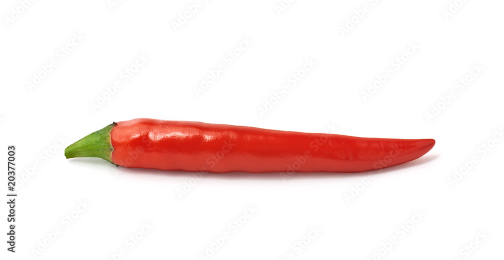 Close up of red chilli isolated on white background Close up of red chilli isolated on white background