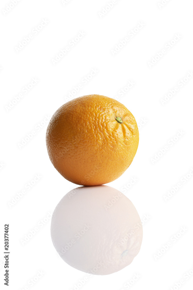 obst10_0024 obst10_0024