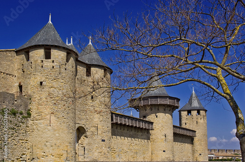 Carcassonne castle