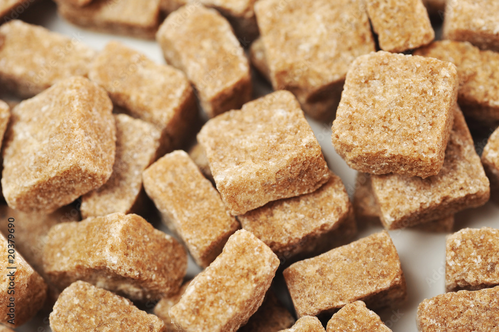 cane sugar cane sugar
