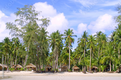 Huts and coconut palms on the beach on Chang island  Thailand