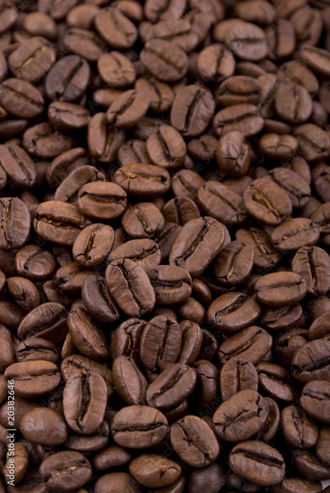 Obraz premium Coffee beans