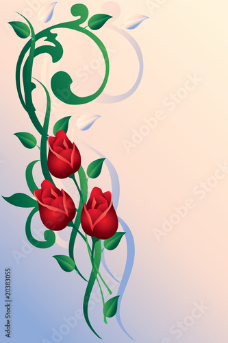 Ornament with buds of roses