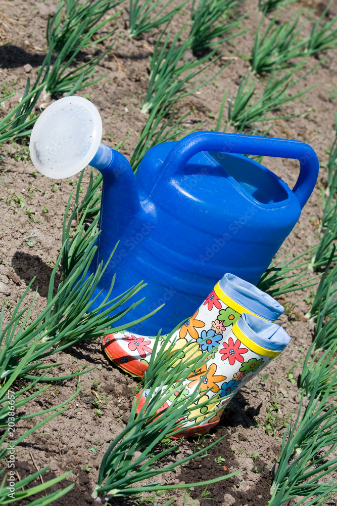 Watering can and rubber boots on the vegetable garden