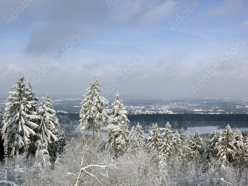 Winterwald photo