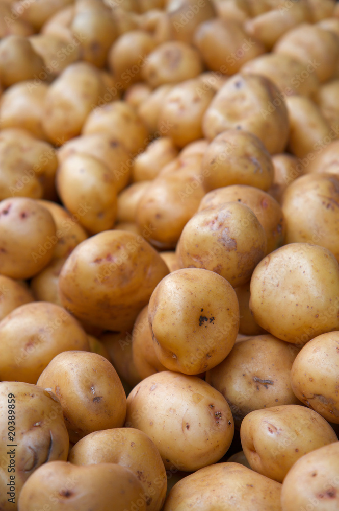 white potatoes white potatoes
