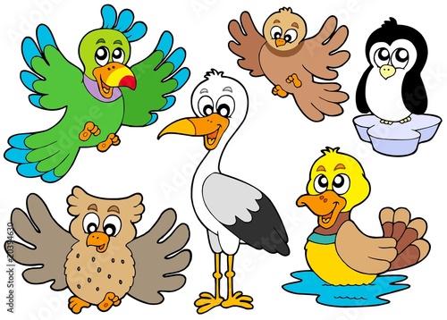 Cute birds collection 2